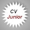 CV Junior - revisione e correzione del curriculum